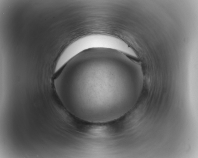 X0000088830458200706211818