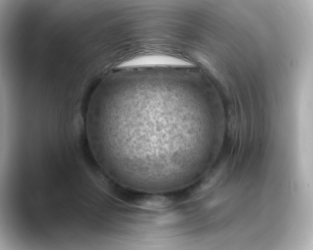 X0000088830459200706211818