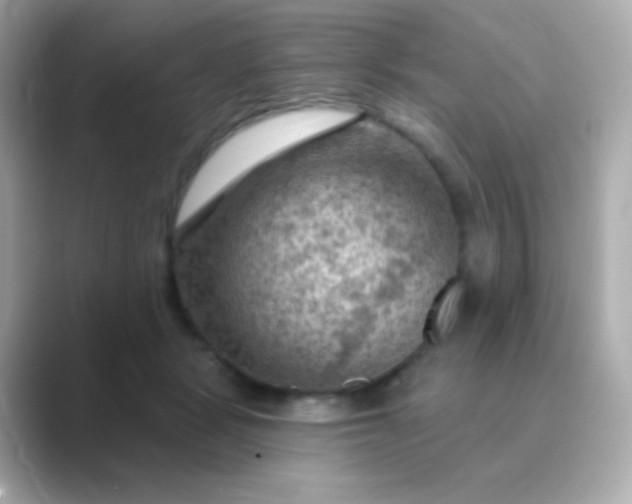 X0000088830461200706211818