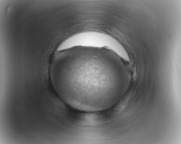 X0000088830462200706211818