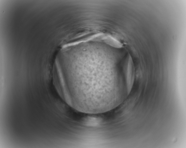 X0000088830464200706211818