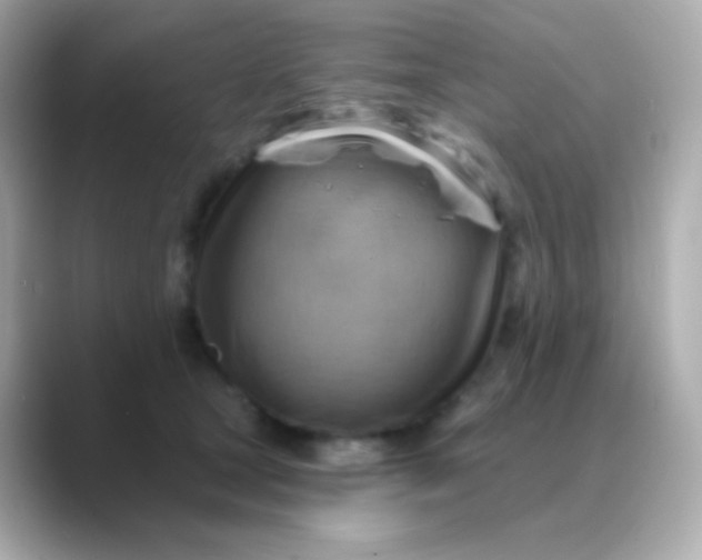 X0000088830465200706211818