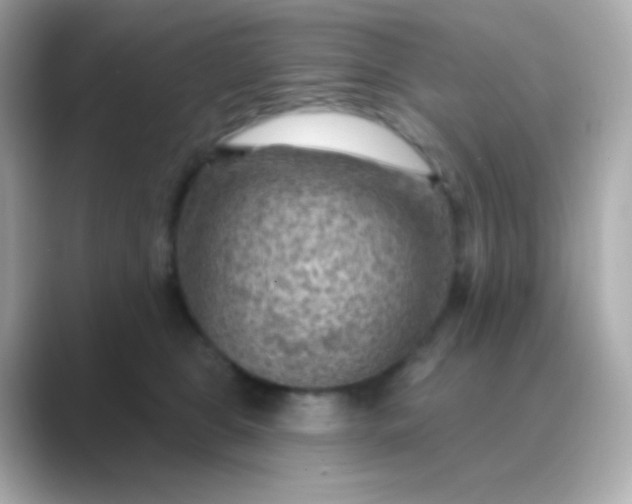 X0000088830469200706211818