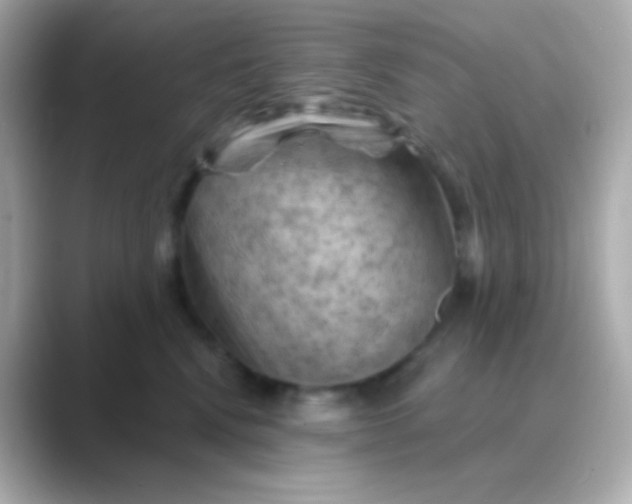 X0000088830472200706211818