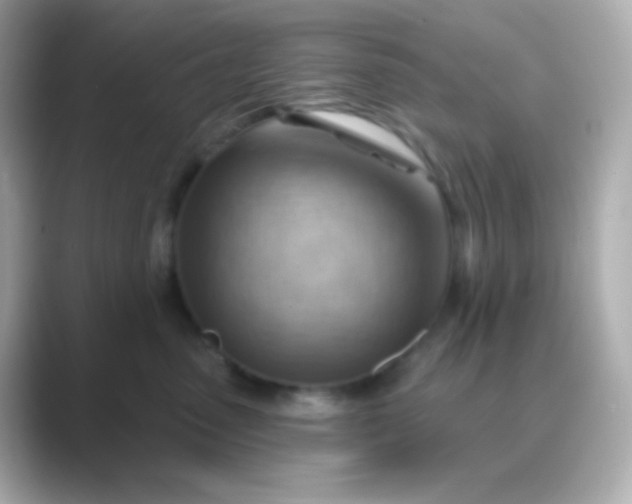 X0000088830475200706211818