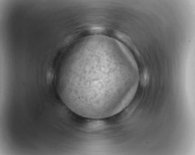 X0000088830476200706211818