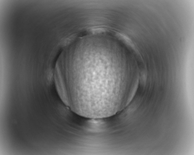 X0000088830477200706211818