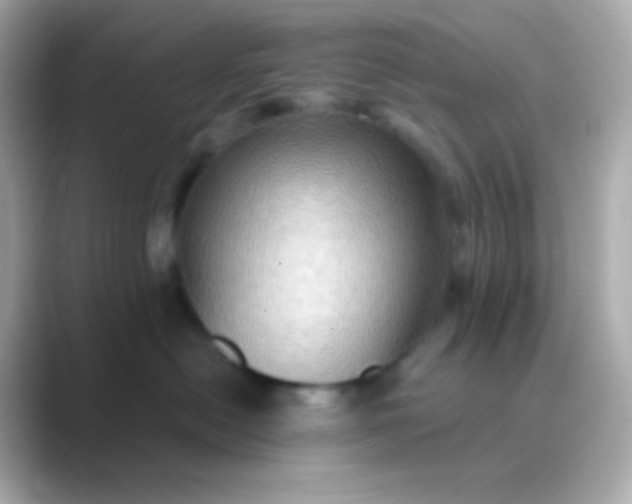 X0000088830478200706211818