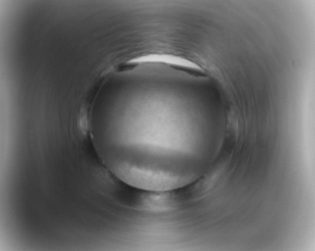 X0000088830479200706211818