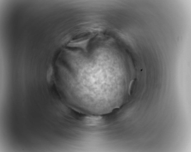 X0000088830480200706211818