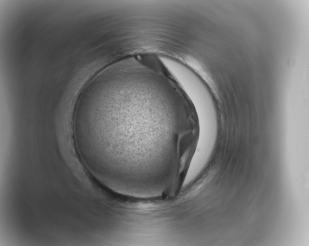 X0000088830481200706211817