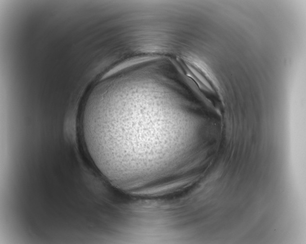 X0000088830482200706211817