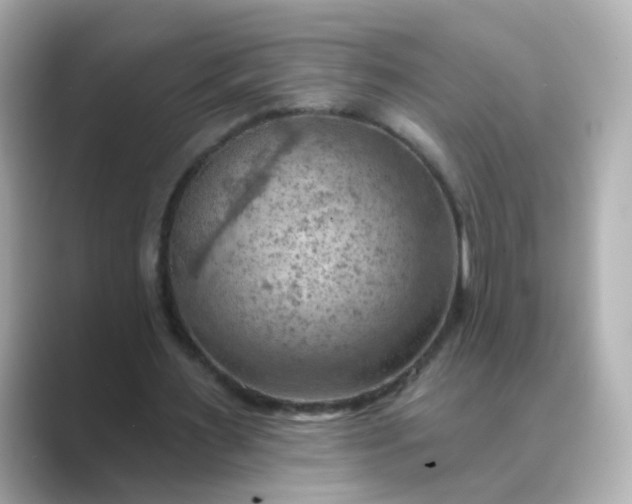 X0000088830483200706211817