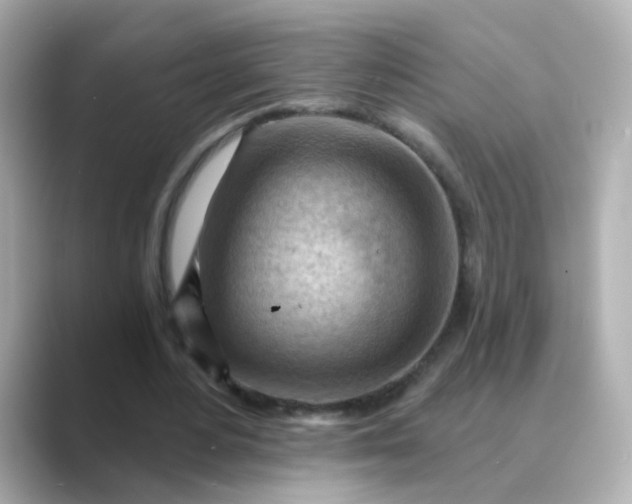 X0000088830484200706211817