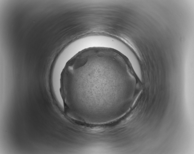 X0000088830485200706211817