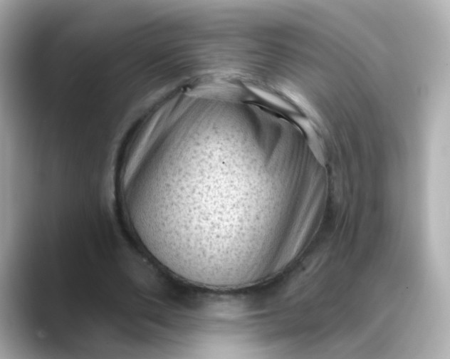 X0000088830486200706211817