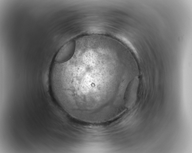 X0000088830487200706211817