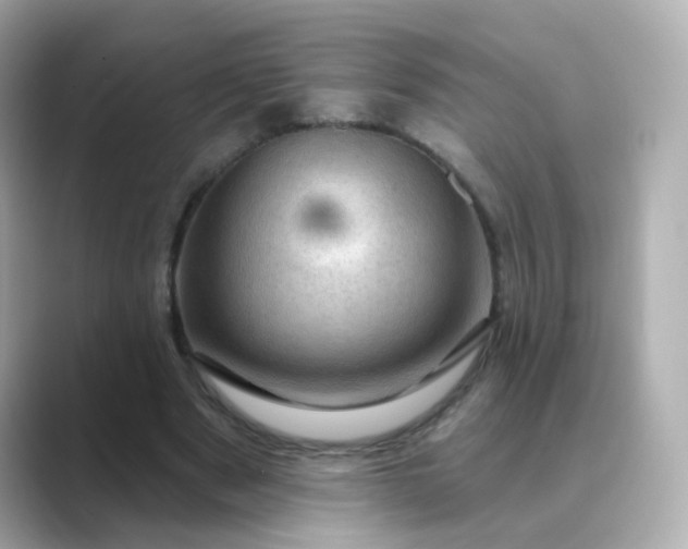 X0000088830489200706211817