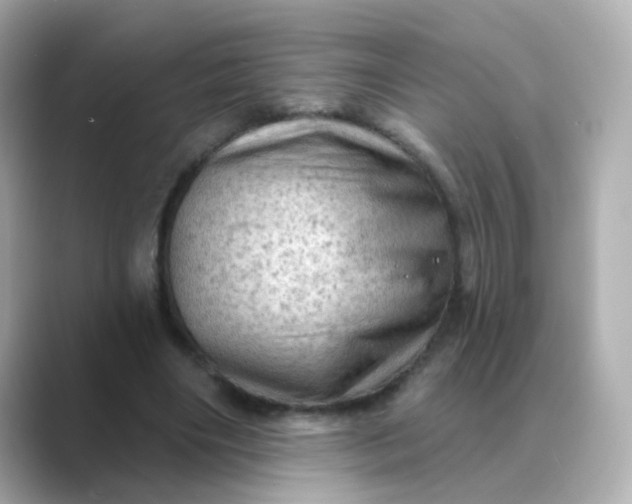 X0000088830490200706211817