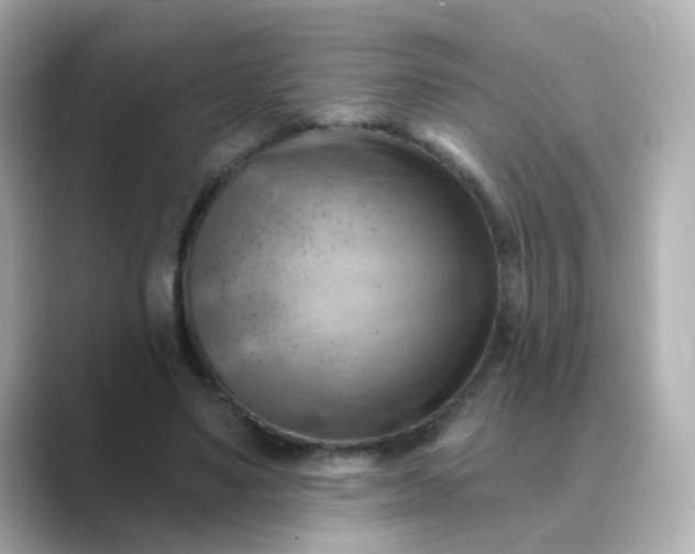 X0000088830491200706211817