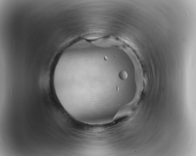 X0000088830492200706211817