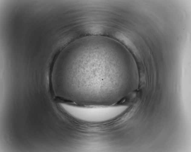 X0000088830493200706211817