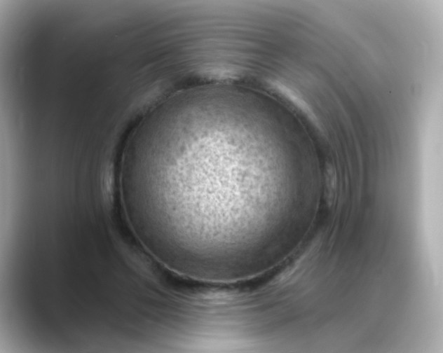 X0000088830494200706211817