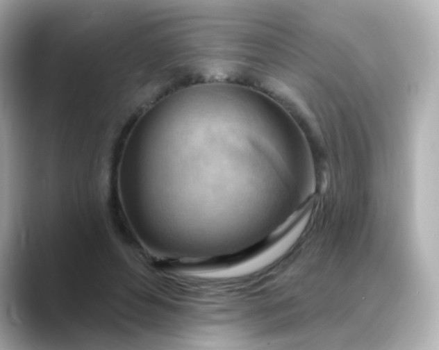 X0000088830496200706211817