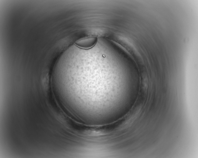 X0000088830498200706211817