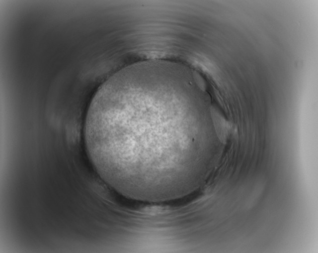 X0000088830499200706211817