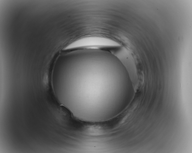 X0000088830500200706211817