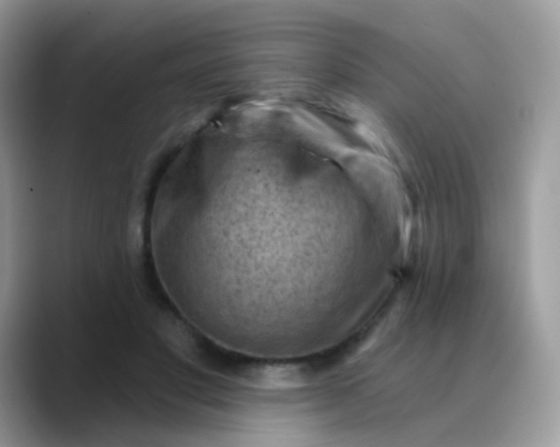 X0000088830501200706211817