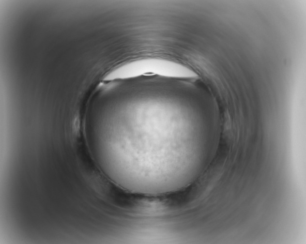 X0000088830502200706211817