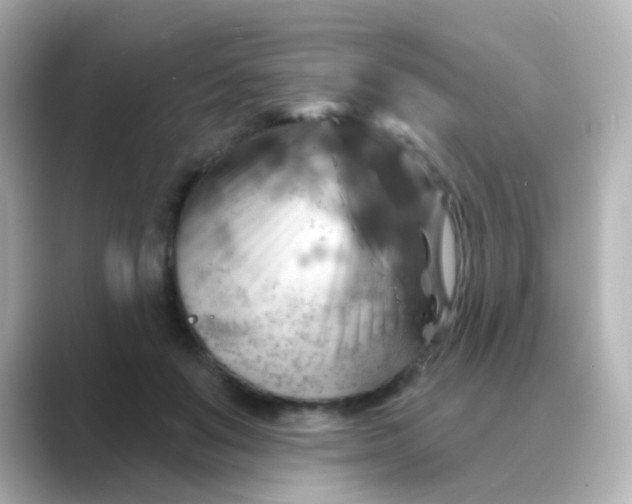 X0000088830503200706211817