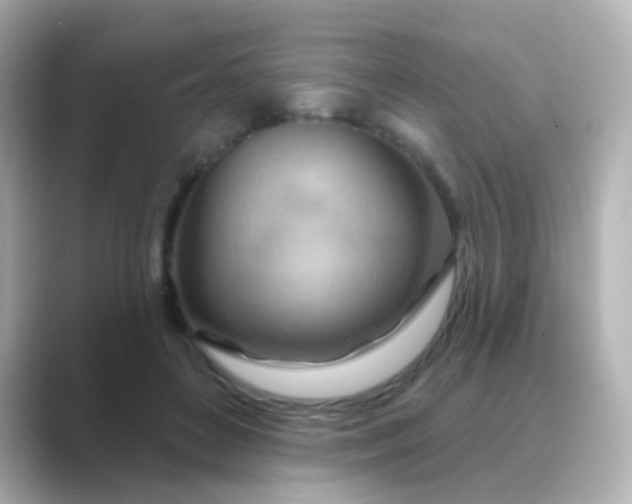 X0000088830504200706211817