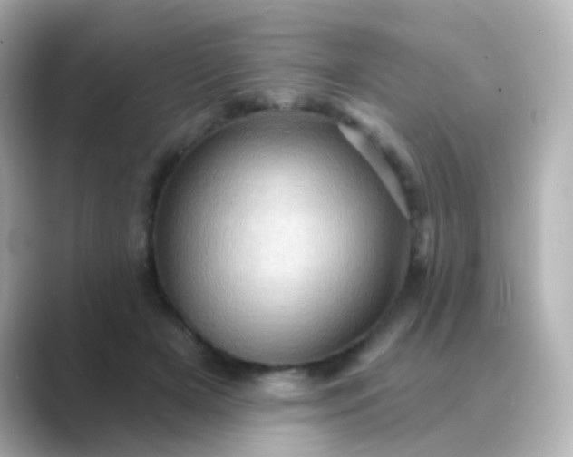 X0000088830505200706211817