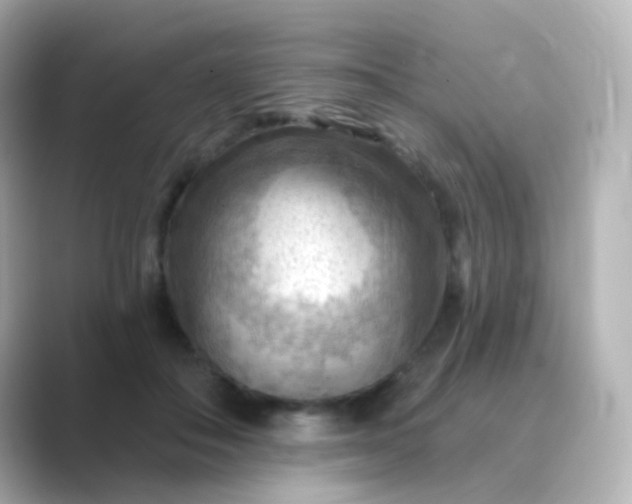 X0000088830506200706211817