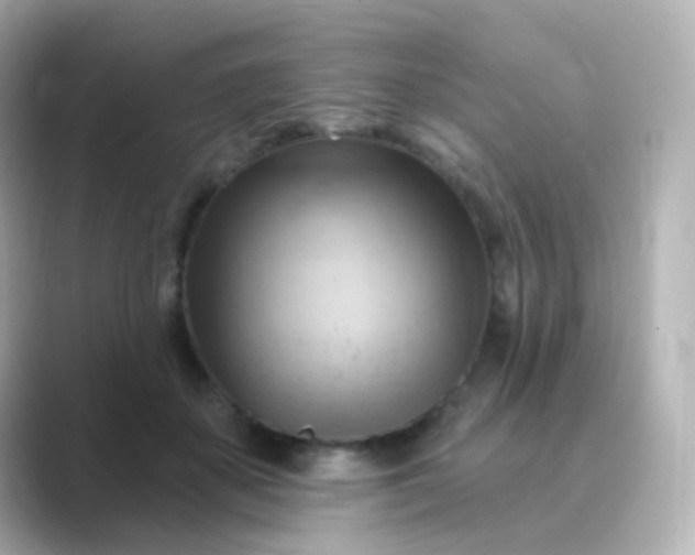 X0000088830507200706211817