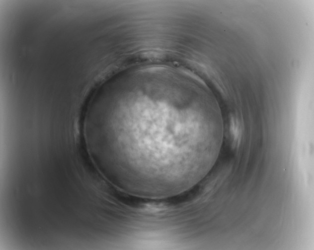 X0000088830508200706211817