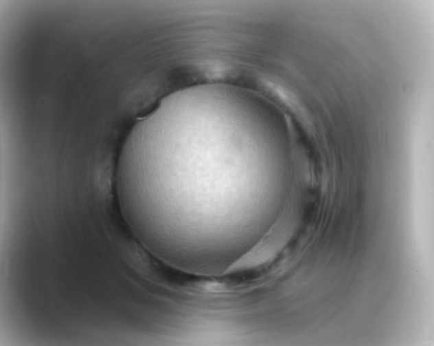 X0000088830509200706211817