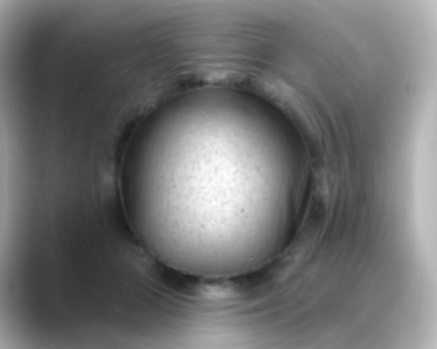 X0000088830510200706211817