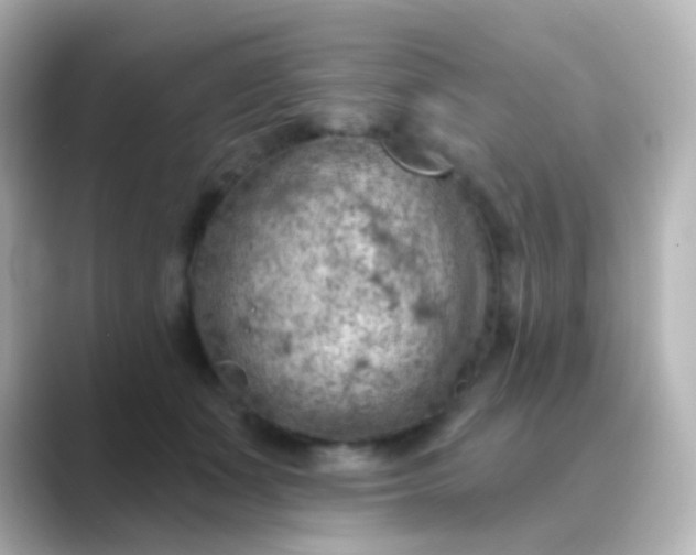 X0000088830511200706211817