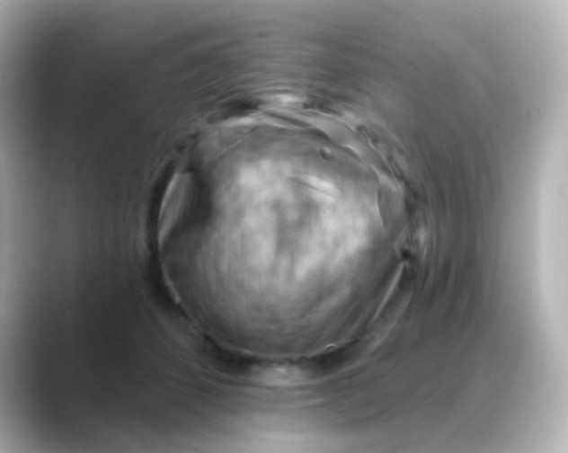 X0000088830512200706211817