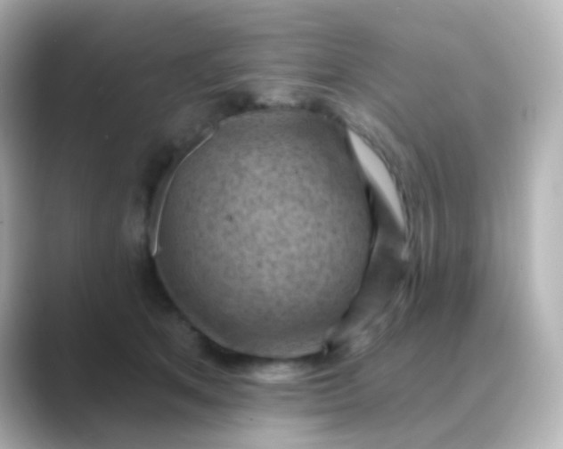 X0000088830513200706211817