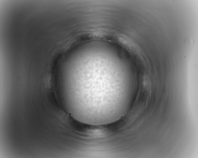 X0000088830514200706211817