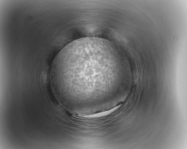 X0000088830515200706211817