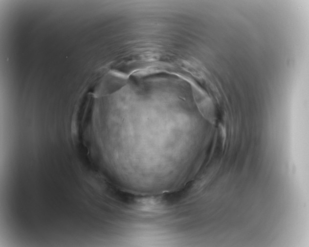 X0000088830516200706211817