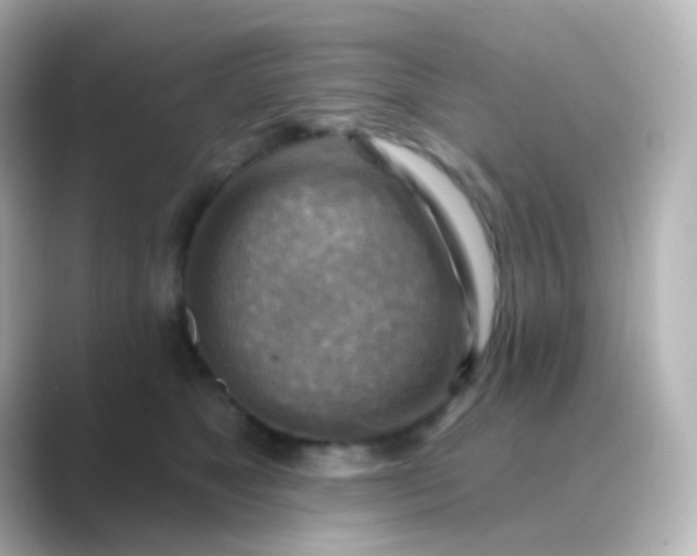 X0000088830517200706211817