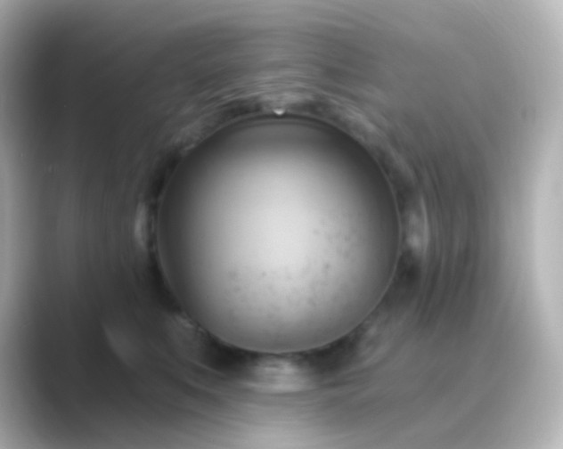 X0000088830519200706211817