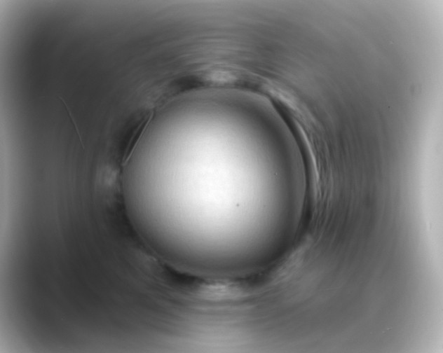 X0000088830521200706211817